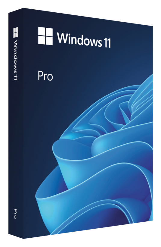 Microsoft Windows 11 Professional 1 License USB