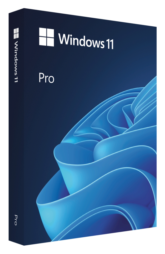 Microsoft Windows 11 Professional EN Int 1Pack DVD