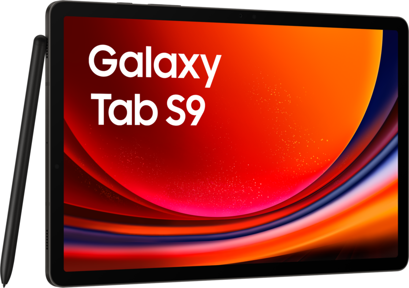 Samsung Galaxy Tab S9 256 GB graphite
