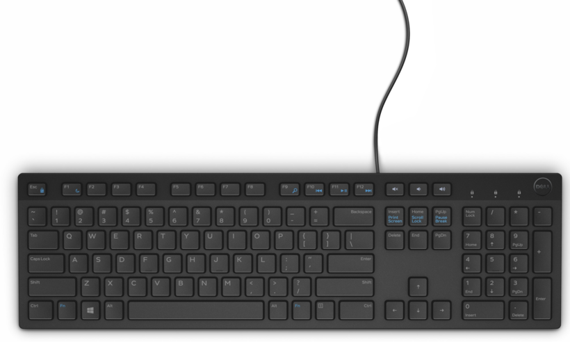 Dell KB216 Multimedia-Tastatur schwarz
