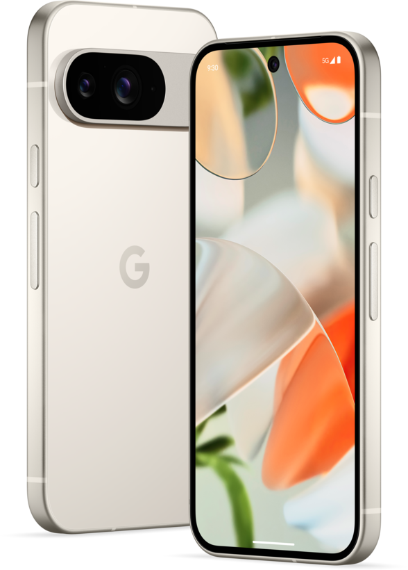 Google Pixel 9 256 GB porcelán