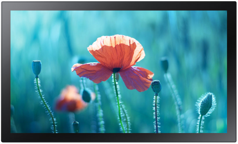 Display Samsung QB13R-TM Touch