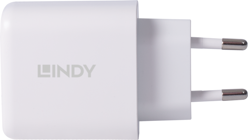 LINDY 65 W USB-C/USB-A GaN Ladeadapter