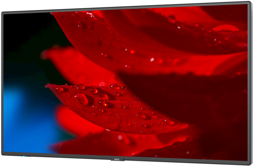 Sharp/NEC MA551 Display