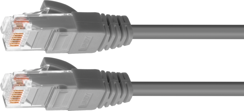 Câble patch RJ45 U/UTP Cat6, 2 m, gris