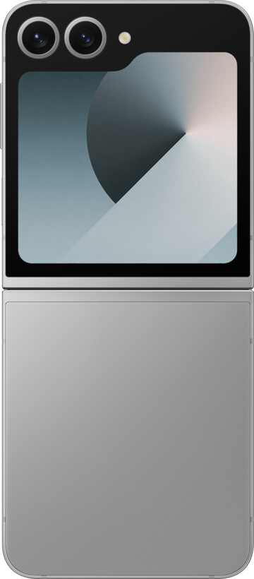 Samsung Galaxy Z Flip6 256 GB silver