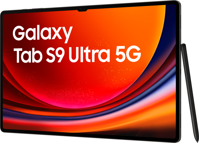 Samsung Galaxy Tab S9 Ultra 5G 256GB gra