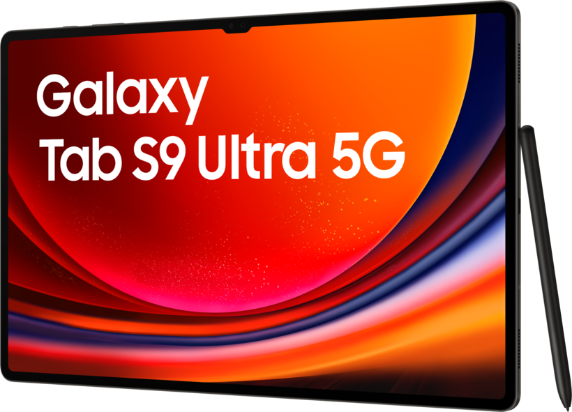 Samsung Galaxy Tab S9 Ultra 5G 512GB gra