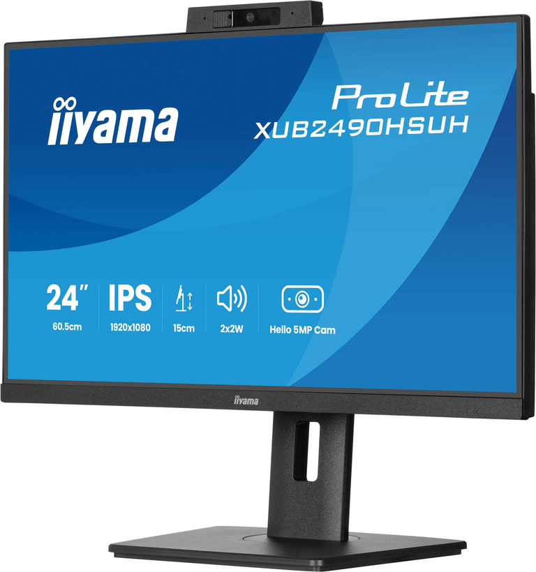 iiyama ProLite XUB2490HSUH-B2 Monitor