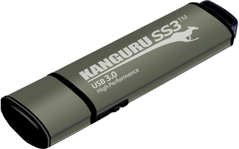Kanguru SS3 USB Stick 512GB