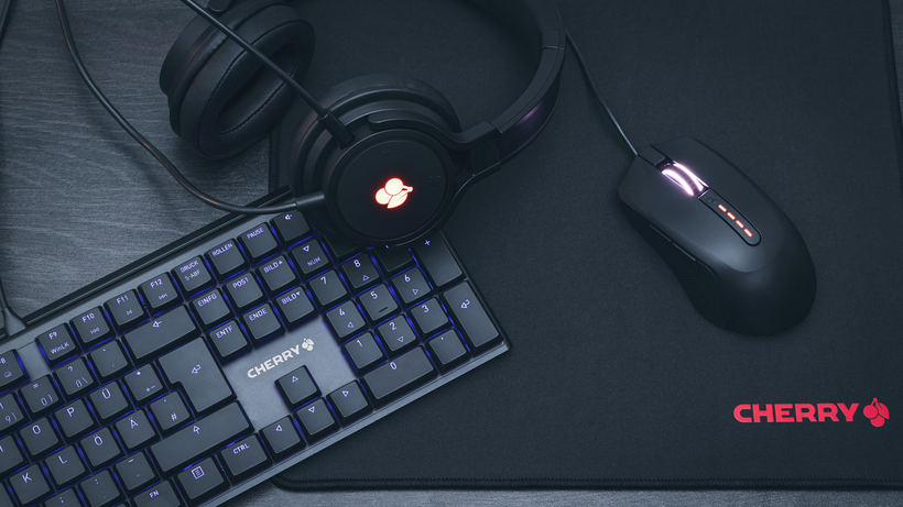 CHERRY MC 2.1 Mouse