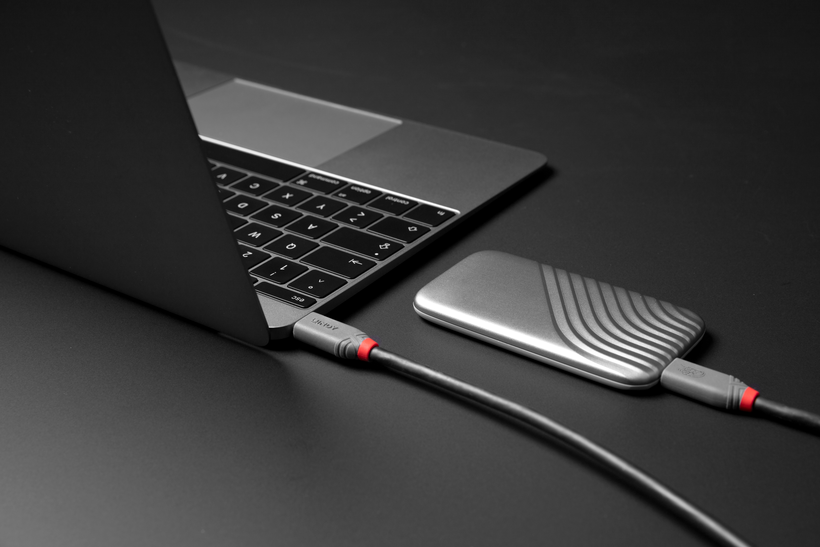 LINDY USB-C Cable 0.8m 240W