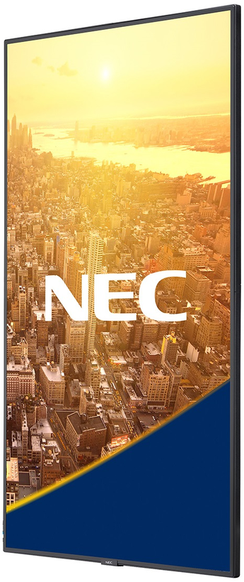 NEC MultiSync C501 Monitor