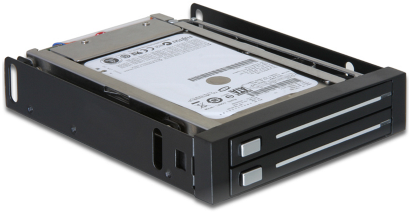 Delock 2x SATA Wechselrahmen
