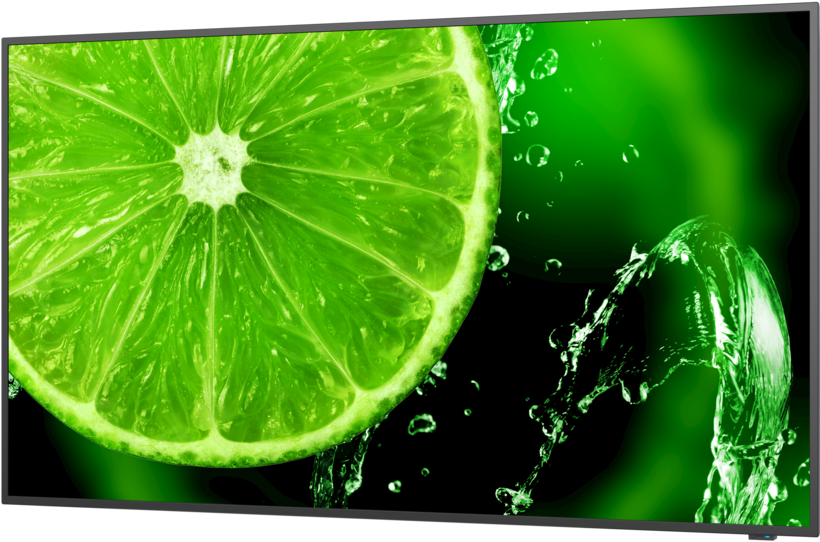 Pantalla NEC MultiSync E658