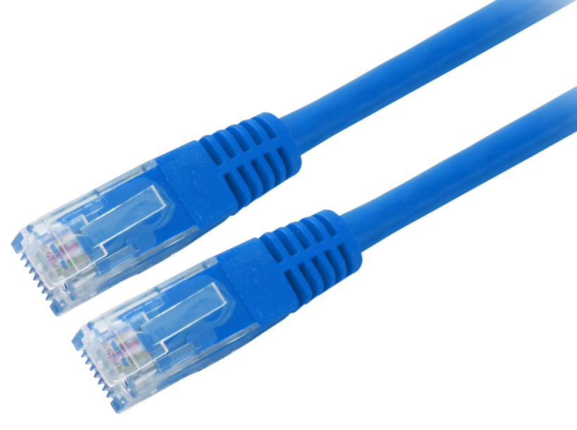 Patch Cable RJ45 U/UTP Cat5e 3m Blue