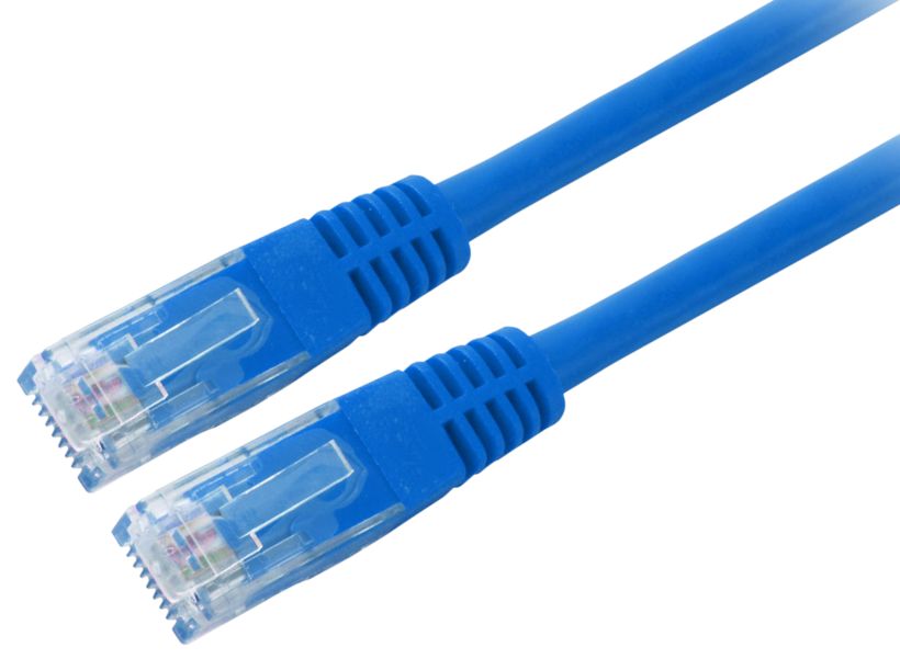 Patch Cable RJ45 U/UTP Cat5e 0.5m Blue