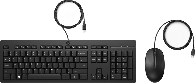 HP USB 225 Keyboard & Mouse Set