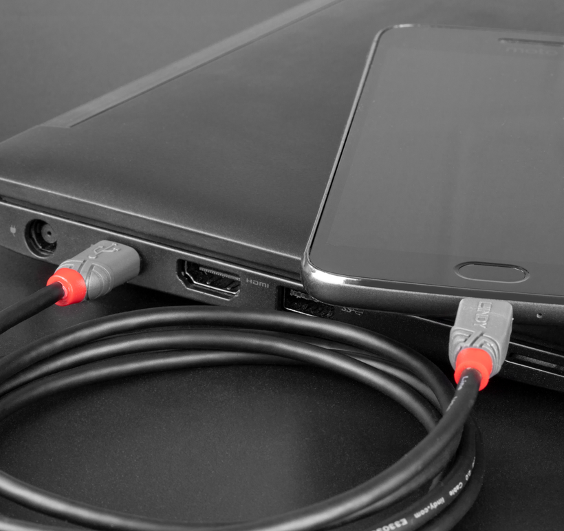 LINDY USB-C to Micro-B Cable 2m