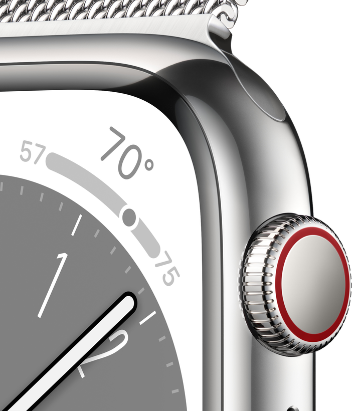 Apple Watch S8 GPS+LTE 45mm Steel Silver