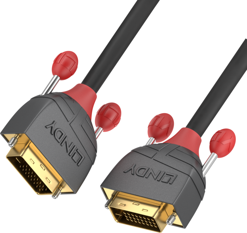 Câble DVI-D Lindy DualLink, 0,5 m
