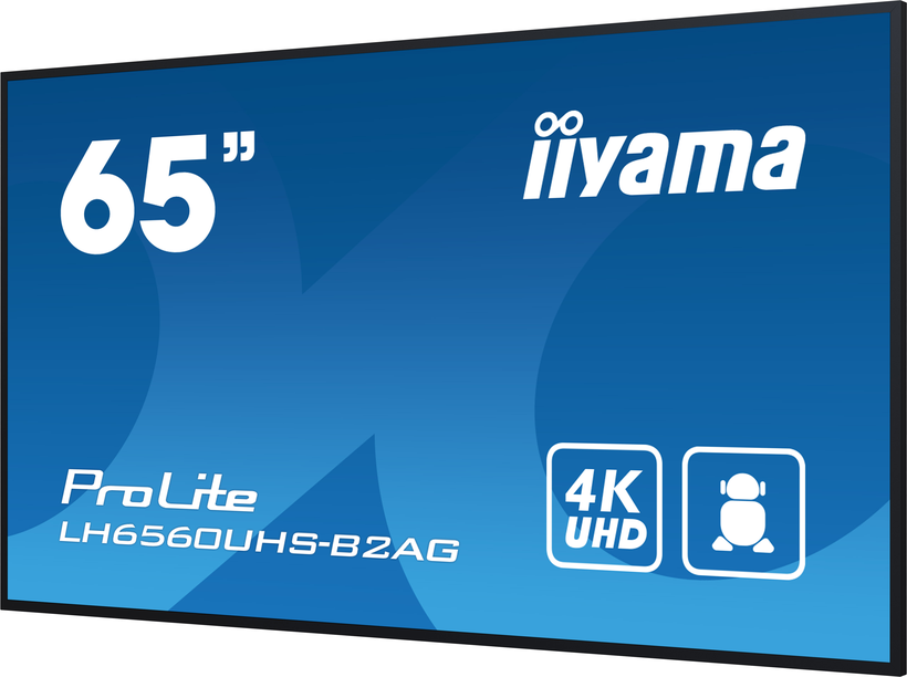 iiyama ProLite LH6560UHS-B2AG Display