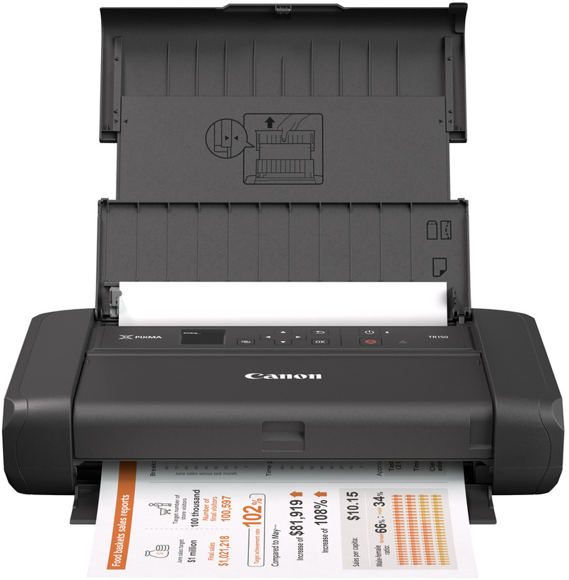 Canon PIXMA TR150 Printer w/ Battery