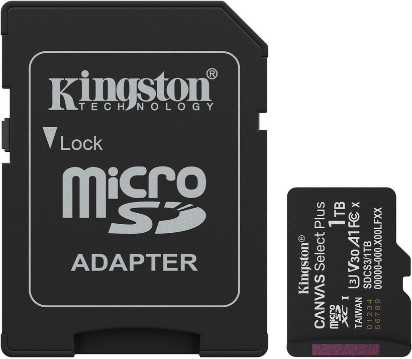 Kingston Canvas Select P 1 TB microSDXC