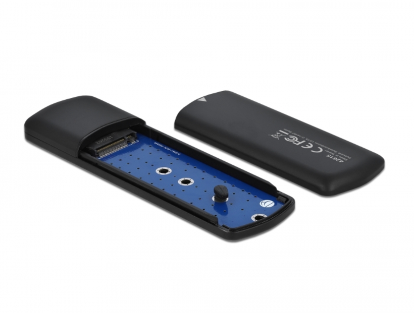 Case SSD M.2 NVMe PCIe Delock