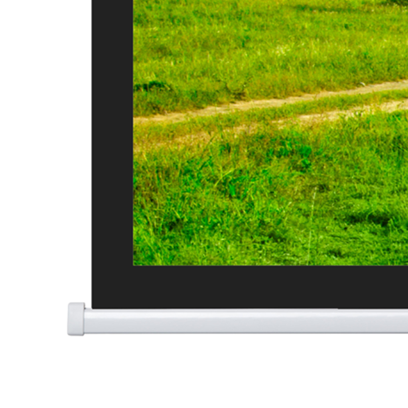 Projecta 204x320cm Projection Screen