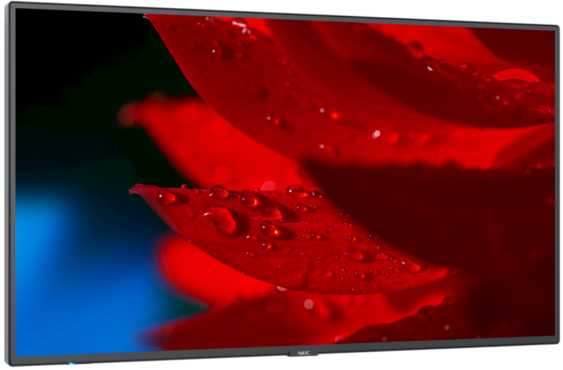 Sharp/NEC MA551 Display