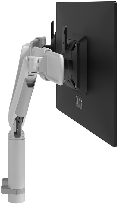 Dataflex Viewprime + Dual Desk Mount