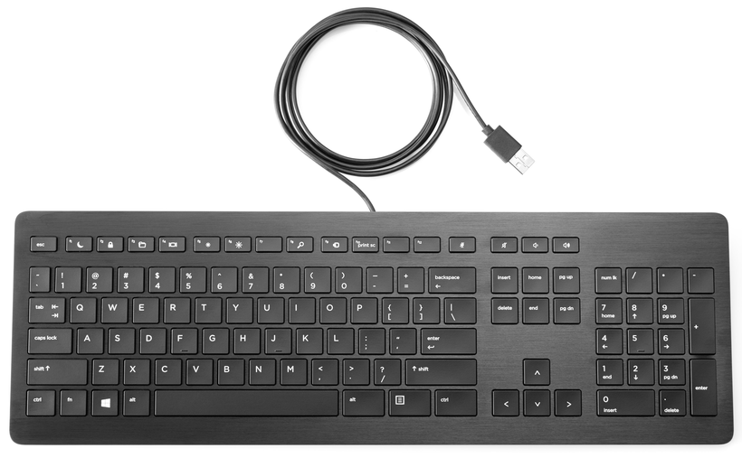 bezig Productie cultuur HP USB Premium Keyboard (Z9N40AA#AC0) kopen