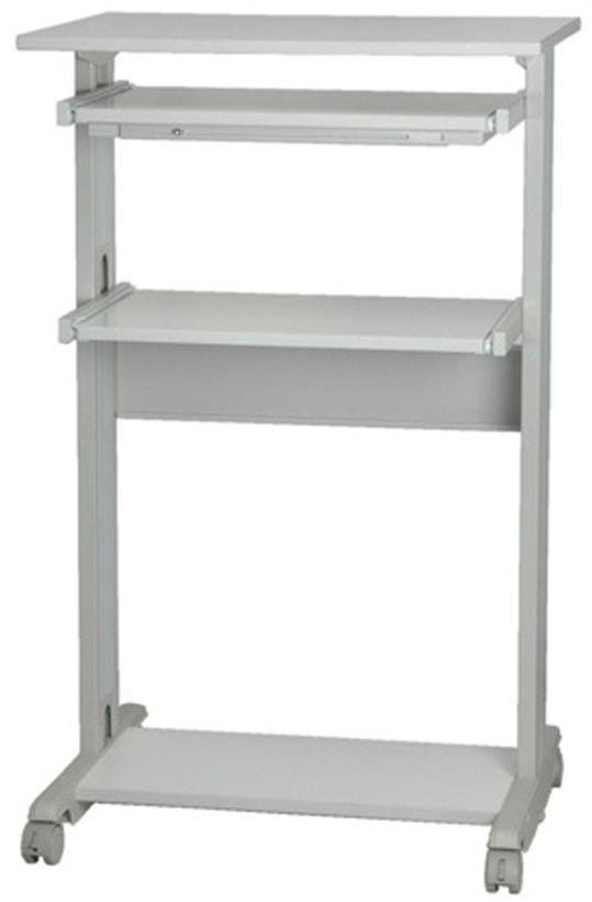 ROLINE PC Standing Workstation