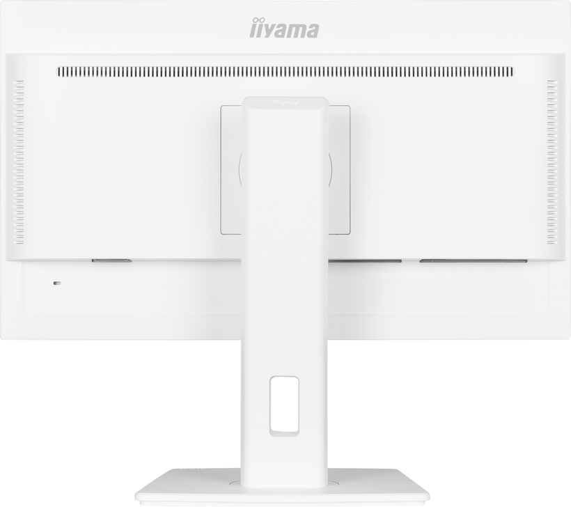 iiyama ProLite XUB2497HSN-W2 Monitor