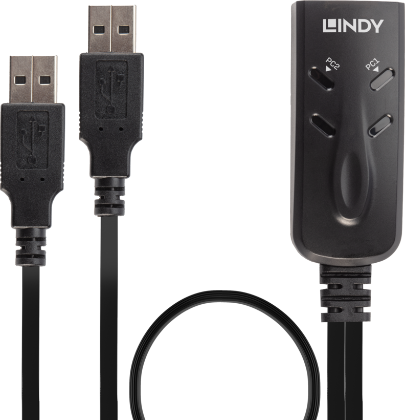 Switch tastiera+mouse USB 2 porte LINDY