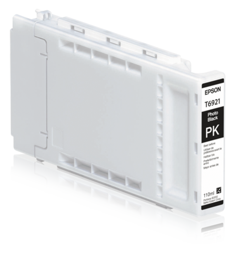 Epson T692100 fotoschwarz