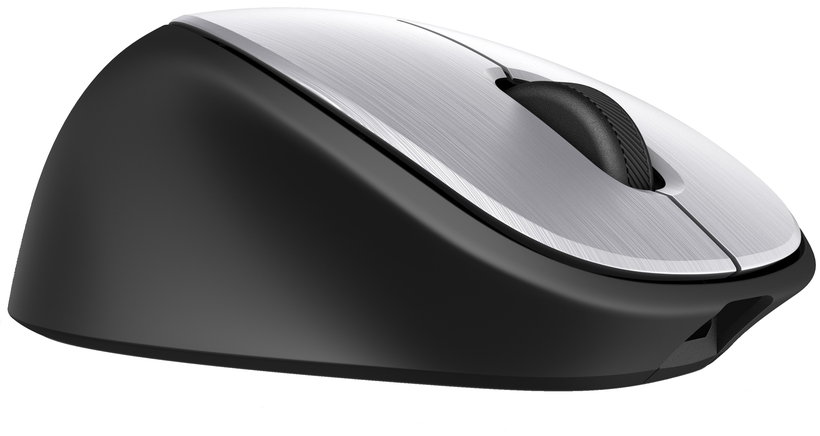 HP ENVY 500 Mouse