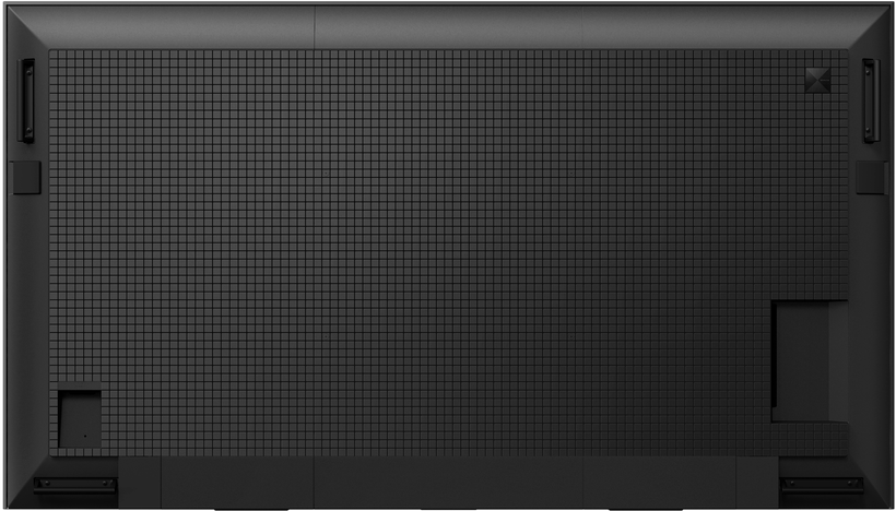 Sony Bravia FW-98BZ53L Display