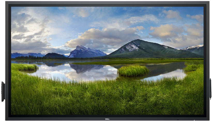 Dell Pro 65 Plus P6524QT Touch Monitor