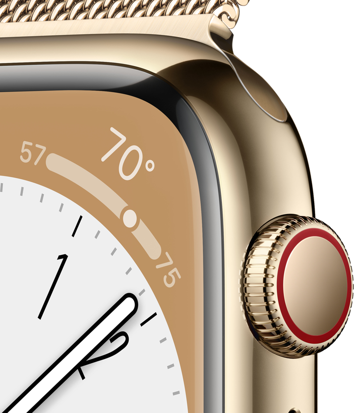 Apple Watch S8 GPS+LTE 45mm Steel Gold