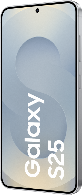 Samsung Galaxy S25 Enterprise Edition