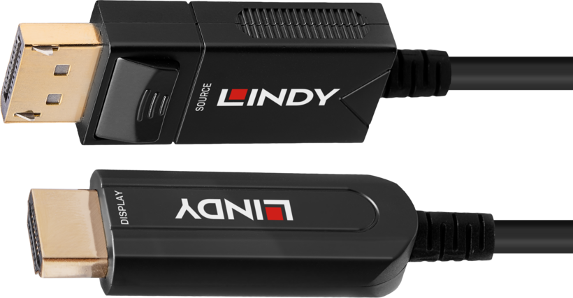 LINDY DP - HDMI Hybrid Kabel 10 m