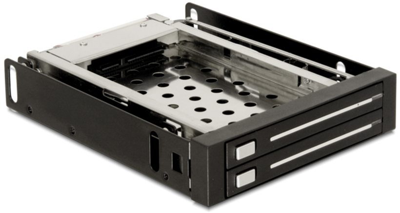 Delock 2x SATA Wechselrahmen
