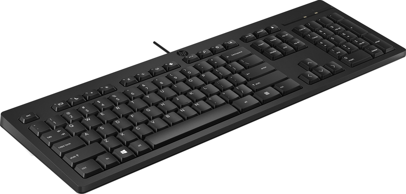 HP USB 125 Tastatur