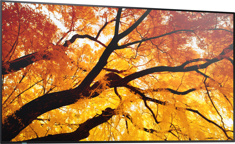 Monitor Sharp MultiSync M552