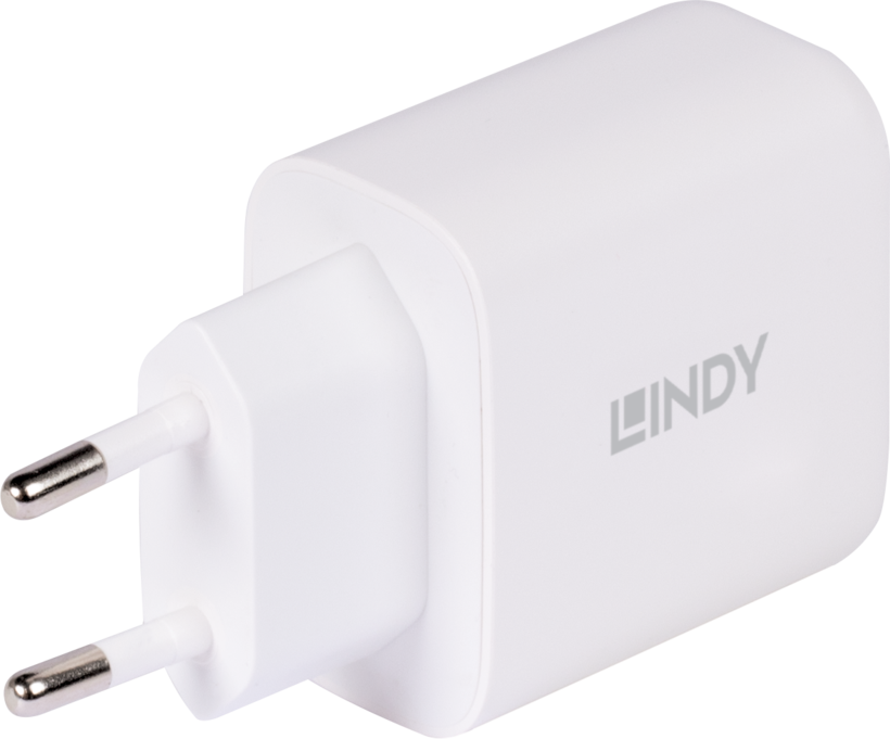 LINDY 65 W USB-C/USB-A GaN Ladeadapter