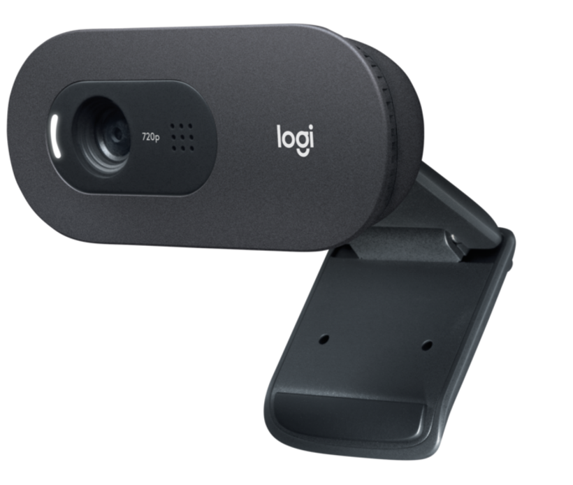 Logitech C505e HD for Business Webcam