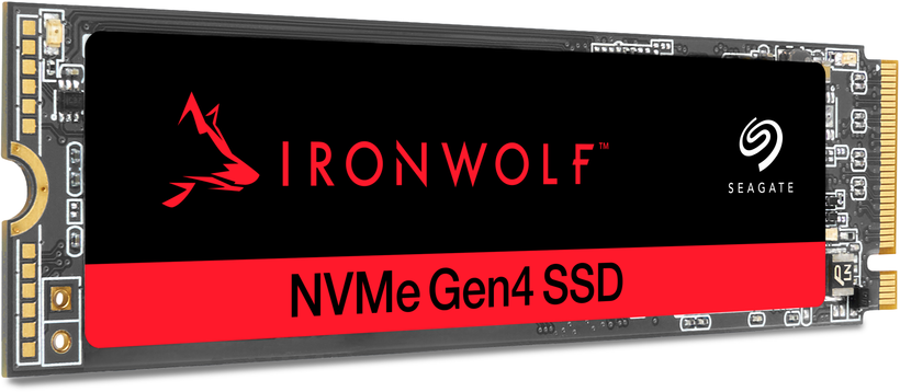 SSD Seagate IronWolf 525 500 GB