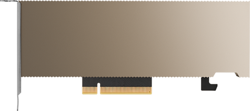 PNY NVIDIA A2 Graphics Card